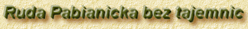 Ruda Pabianicka bez tajemnic